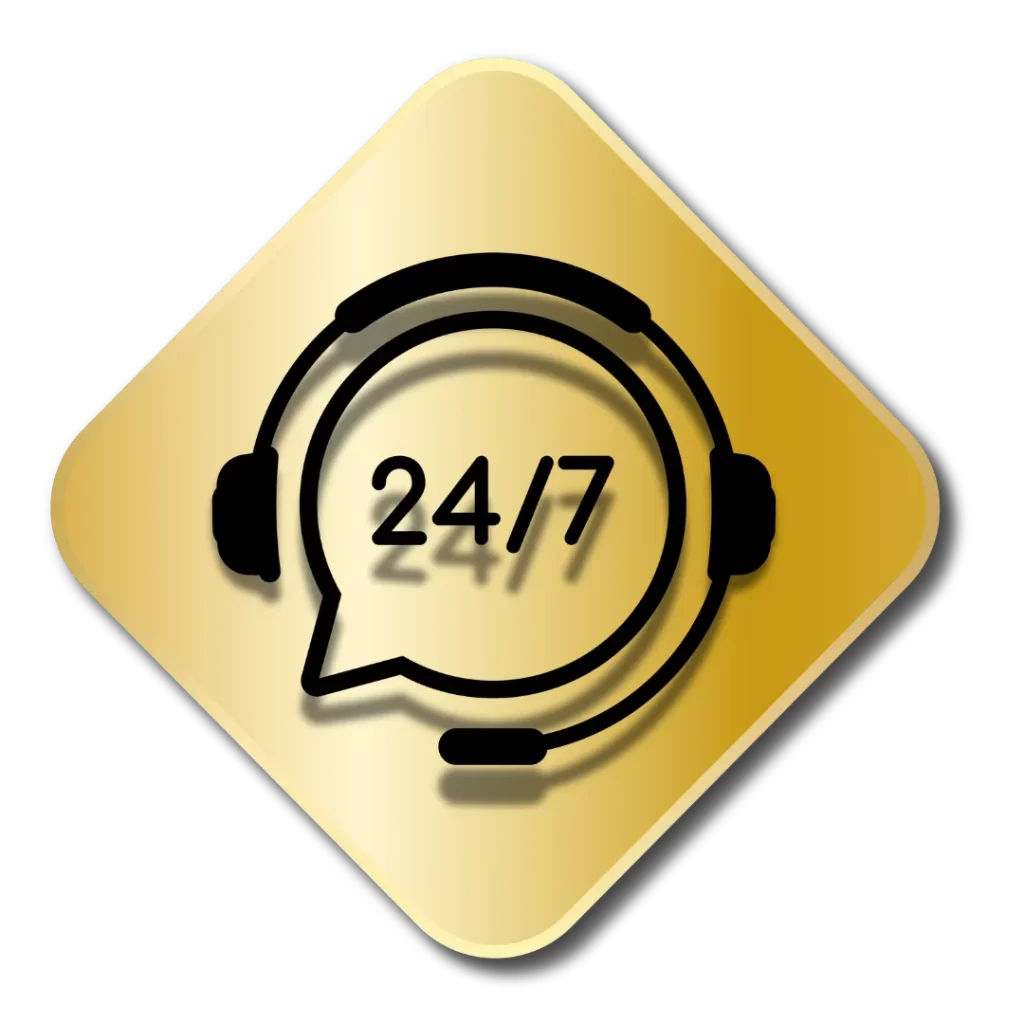 lionbet666 24hrs support